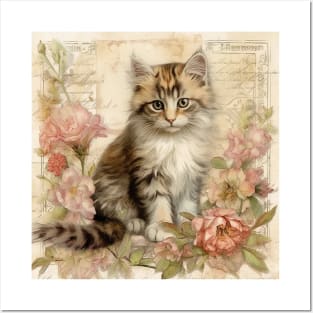 kitten Posters and Art